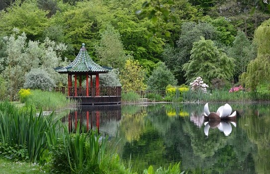 Himalayan Garden & Sculpture Park, near Ripon