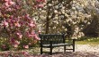 hodnet-hall-garde-spring.jpg