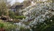 hodnet-hall-gardens-2025.jpg