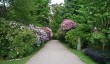 hodnet-hall-gardens.jpg