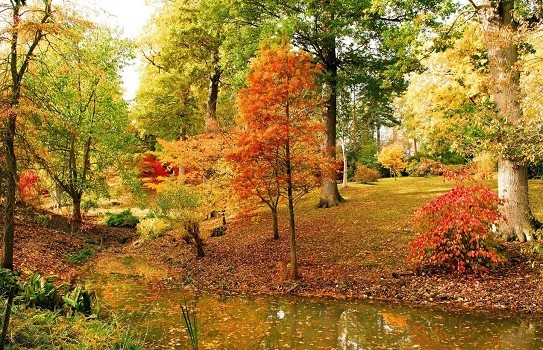 Hole Park Gardens Hole Park Gardens