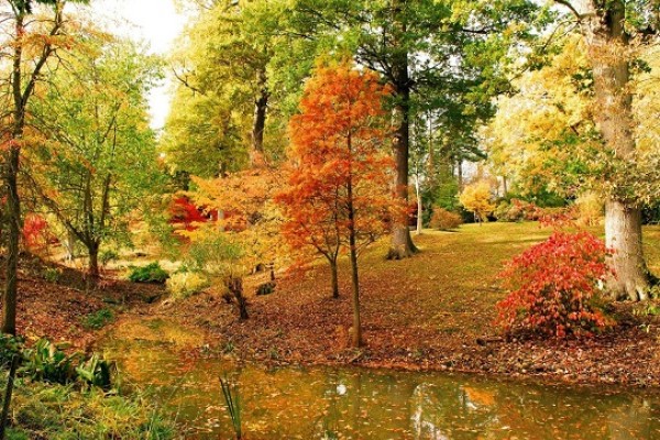 Hole Park Gardens