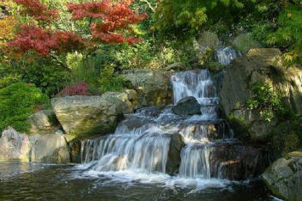 The Japanes Garden at Holland Park