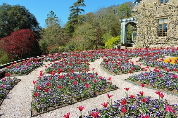 Hotel Endsleigh Garden