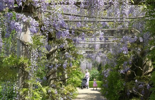 Houghton Hall Gardens