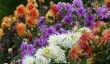 houghton-hall-walled-garden.jpg