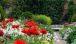 hutton-forest-garden.jpg
