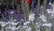 hutton-in-forest-garden.jpg