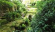 iford-manor-japanese-garden.jpg