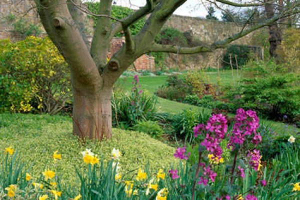 Inveresk Lodge Garden