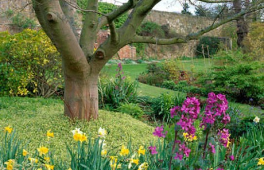 Inveresk Lodge Garden Inveresk Lodge Garden