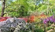 isabella-pantation-garden.jpg