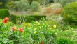 isle-of-wight-gardens.jpg