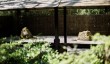 japanease-garden-st-mawgan.jpg