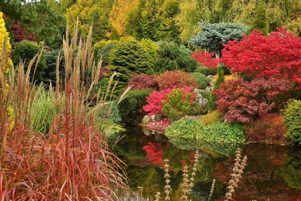 John's Garden at Ashwood Nurseries