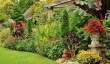 johns-garden-july.jpg