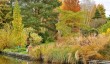 johns-garden-october.jpg