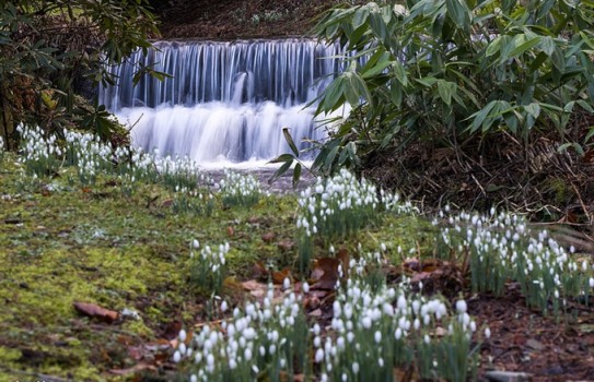Kailzie Gardens Kailzie Gardens