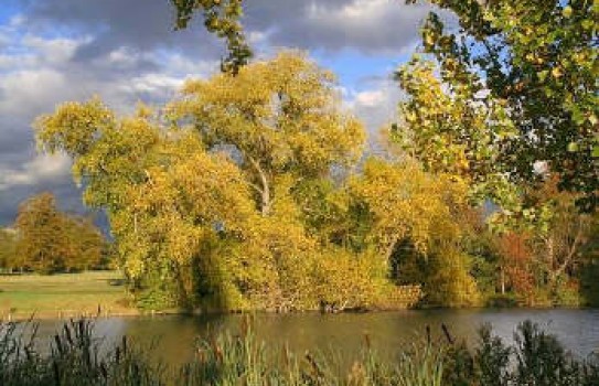 The lake at Kensington Gardens