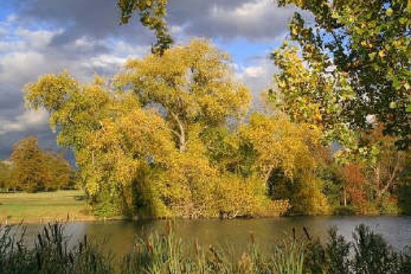 The lake at Kensington Gardens