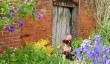 kentchurch-hall-garden.jpg