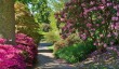 kew-gardens.jpg