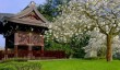 kew-japanese-cherry.jpg