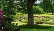 killerton_house_garden_view.jpg