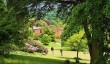 killerton_house_gardens.jpg