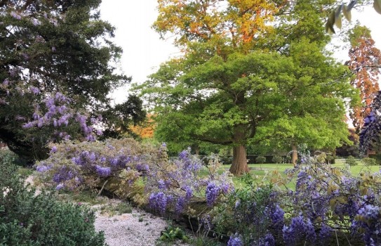 Kingston Bagpuize House Garden