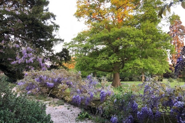 Kingston Bagpuize House Garden