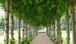 knebworth-house-gardens.jpg