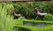 knebworth-house-sculpture.jpg