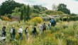 knepp-c.jpg