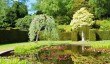 knightshayes_court_garden_lilly_pool.jpg