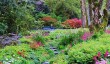 lanhydrock-garden.jpg