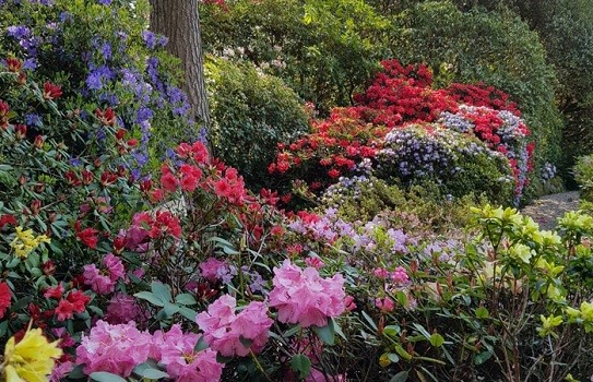 Lea Gardens Lea Gardens