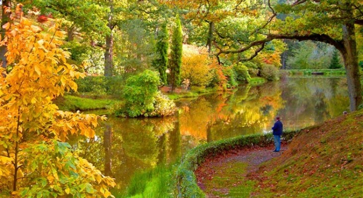 Leonardslee Gardens Autumn Sussex