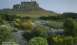 lindisfarne-garden-gertrude-jekyll.jpg