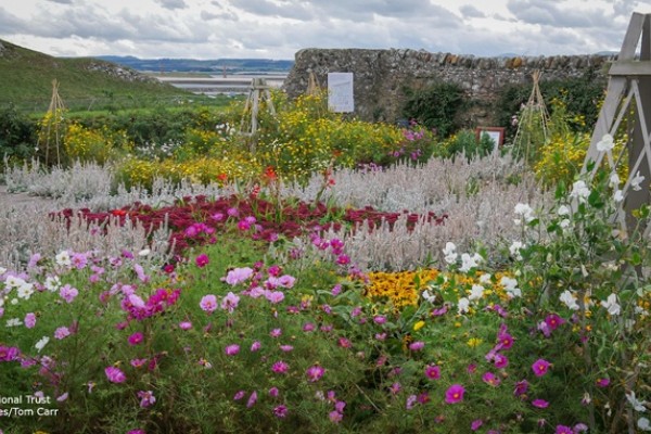 Lindisfarne Gertrude Jekyll Garden