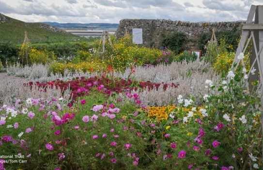 Lindisfarne Gertrude Jekyll Garden