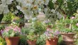 little-malvern-court-worcestershire.jpg