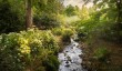 llanover-mountain-stream.jpg