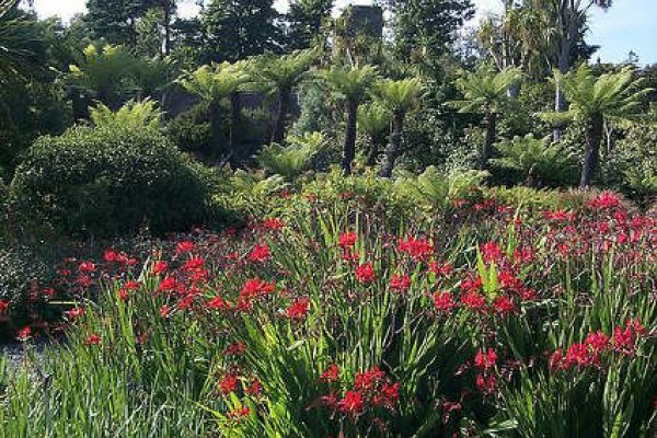 Logan Botanic Garden