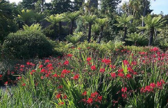 Logan Botanic Garden