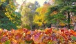 longstock-water-garden-in-autumn.jpg