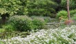 longstock-water-garden.jpg