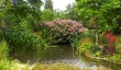 longstock-water-gardens-hampshire.jpg