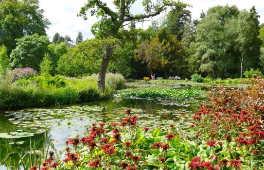 Longstock Water Gardens