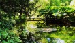 longstock-water-gardens.jpg